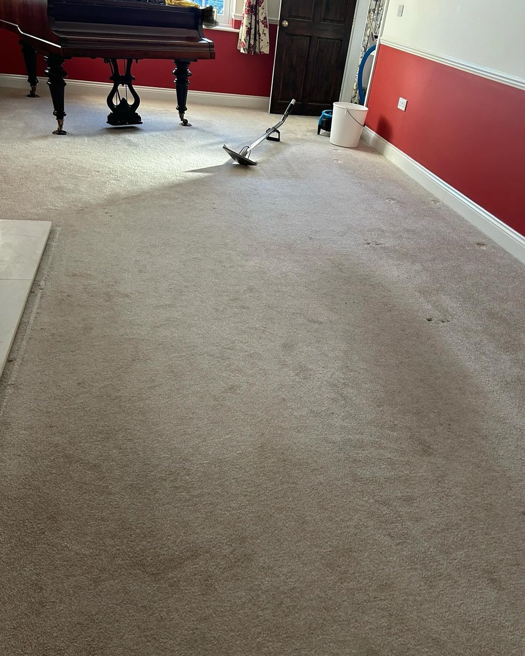 Carpet Cleaning >