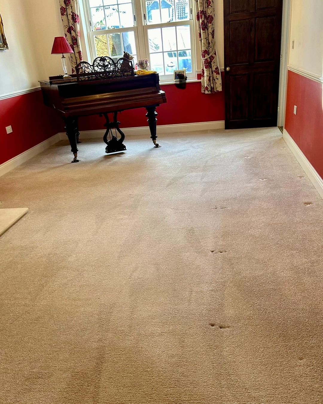 Carpet Cleaning >