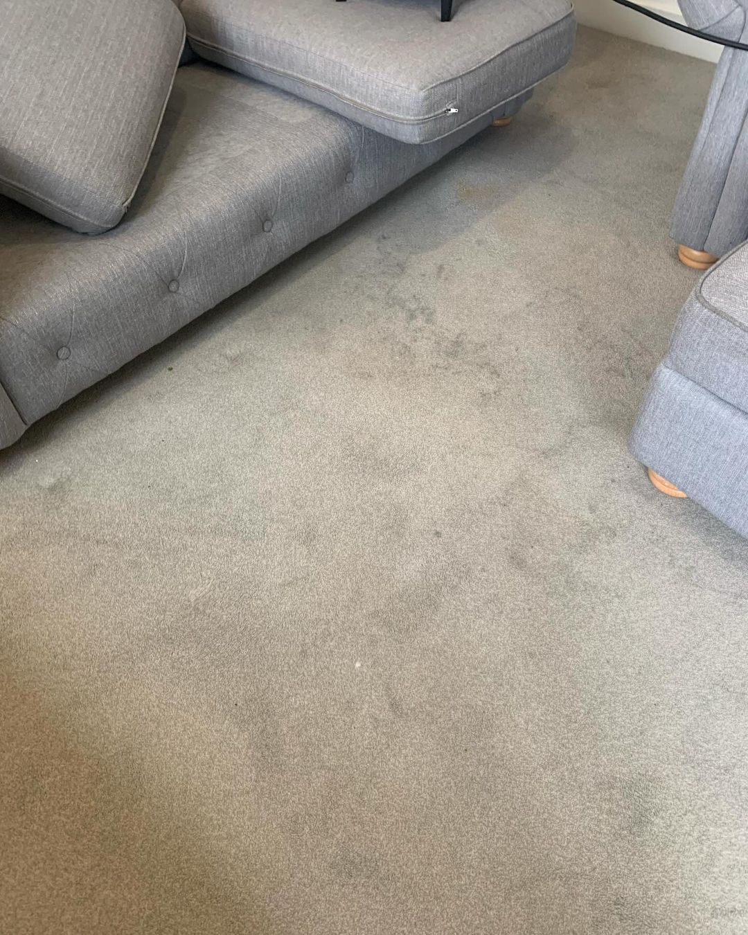 Carpet Cleaning >