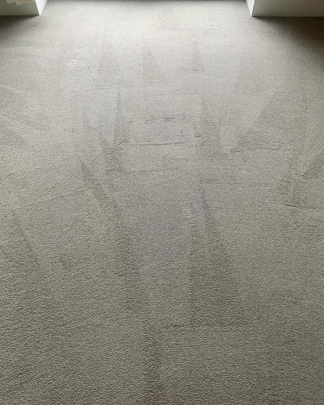 Carpet Cleaning >