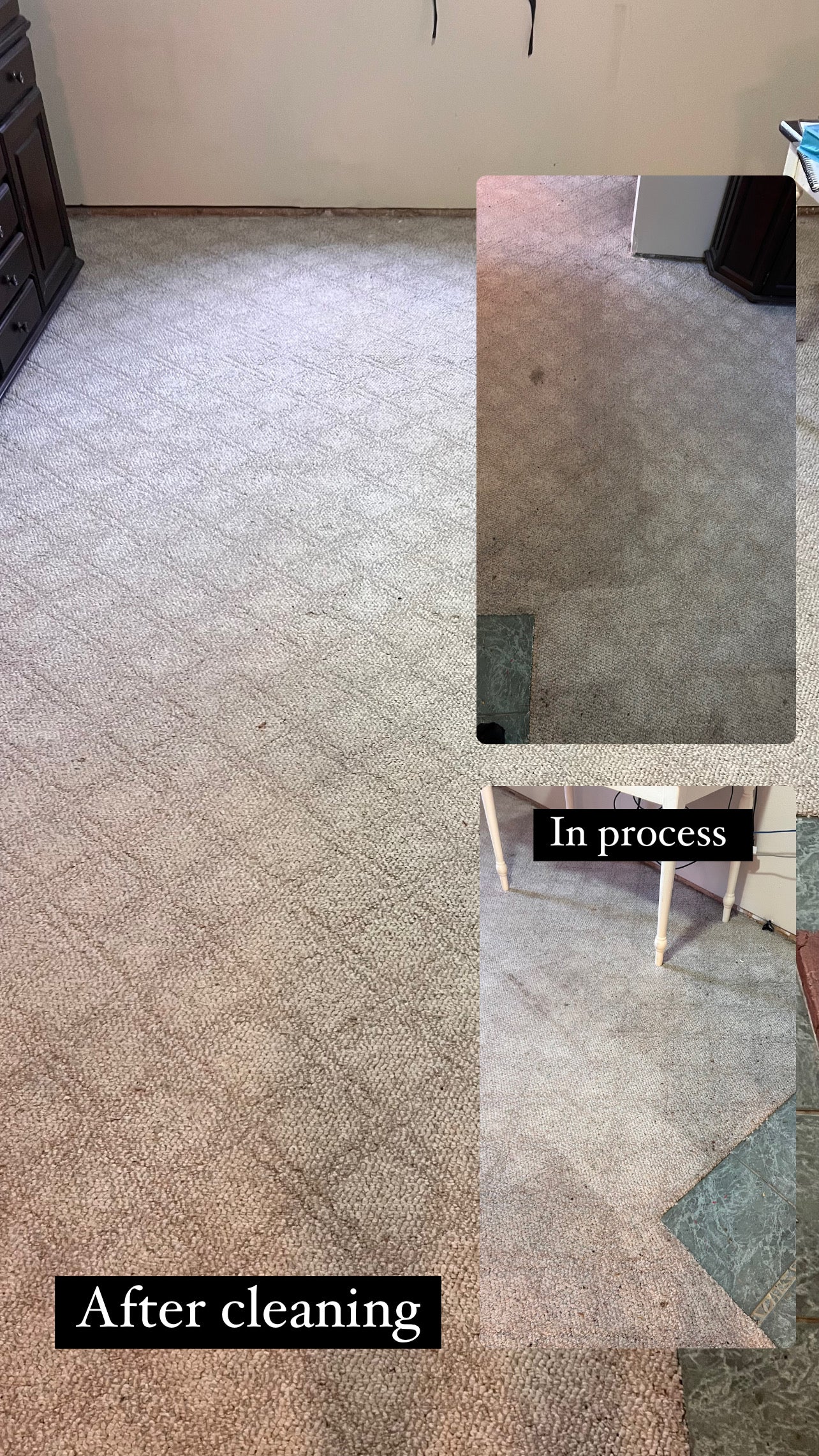 Carpet Cleaning >