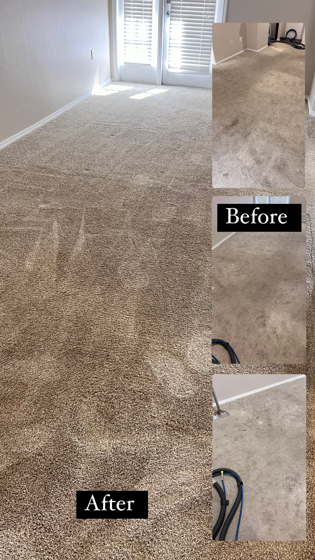 Carpet Cleaning >