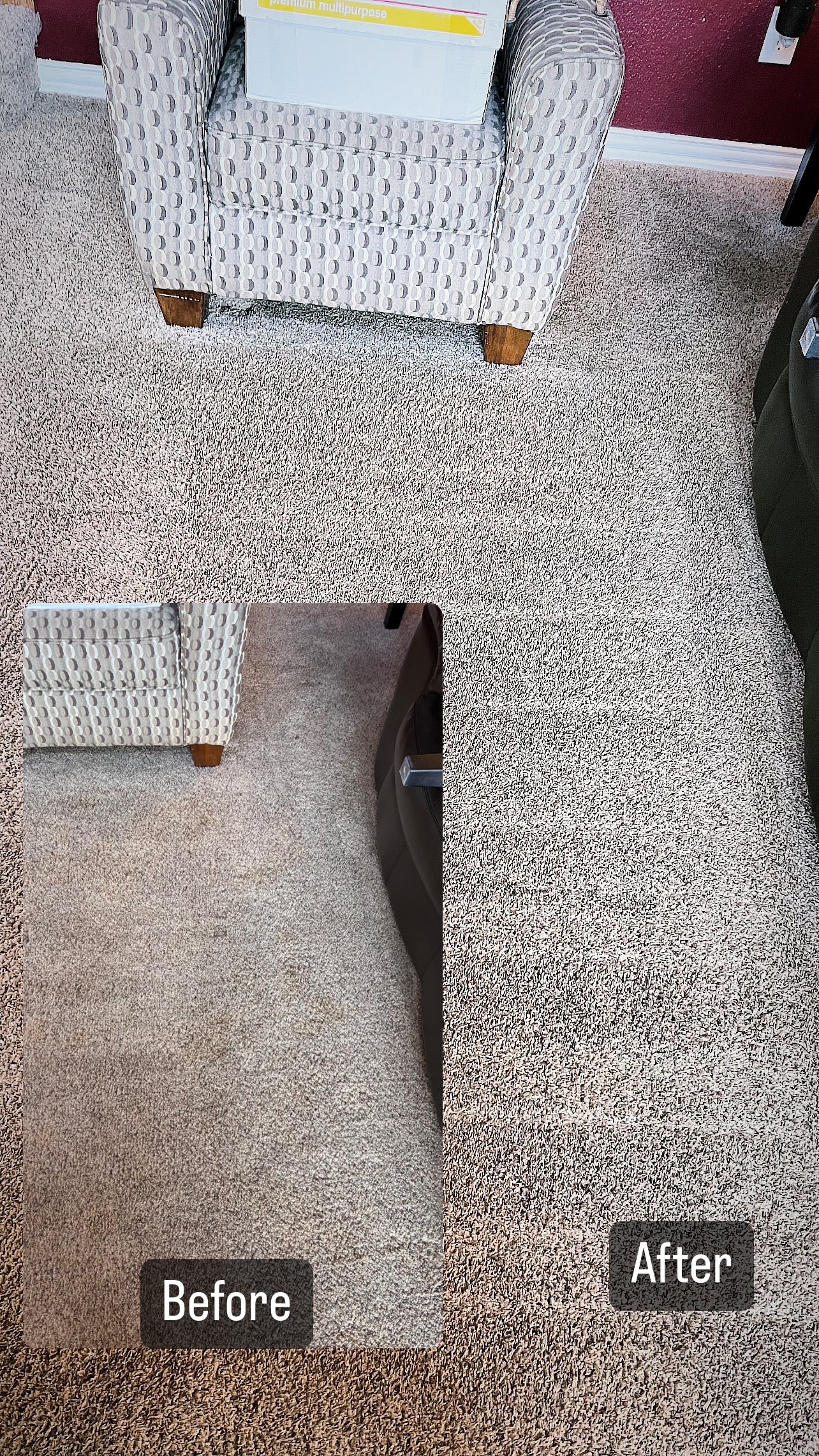 Carpet Cleaning >