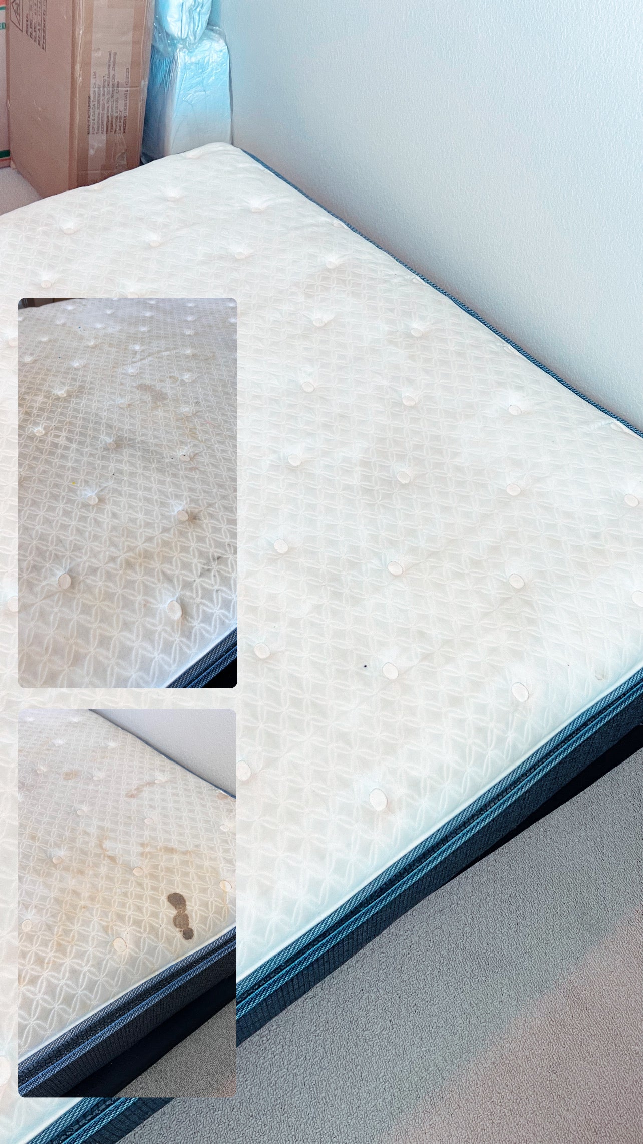 Upholstery Cleaning >