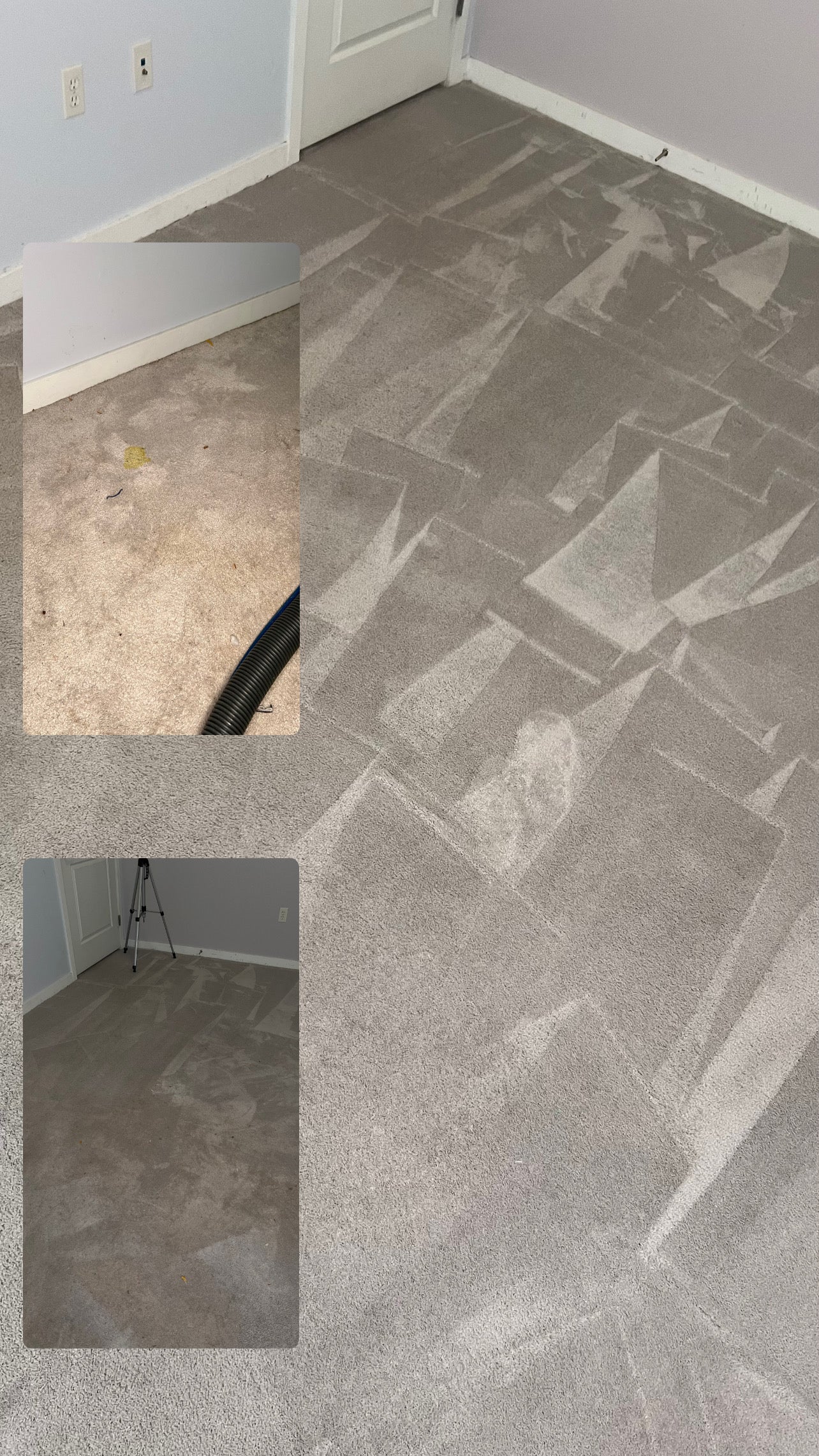Carpet Cleaning >