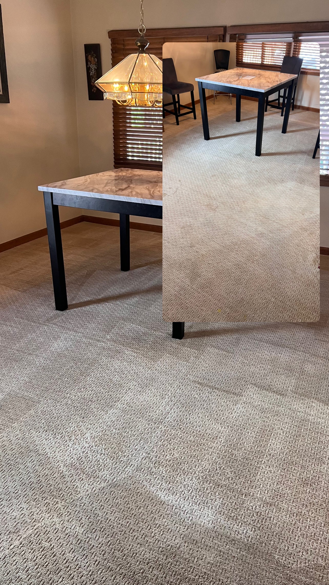 Carpet Cleaning >