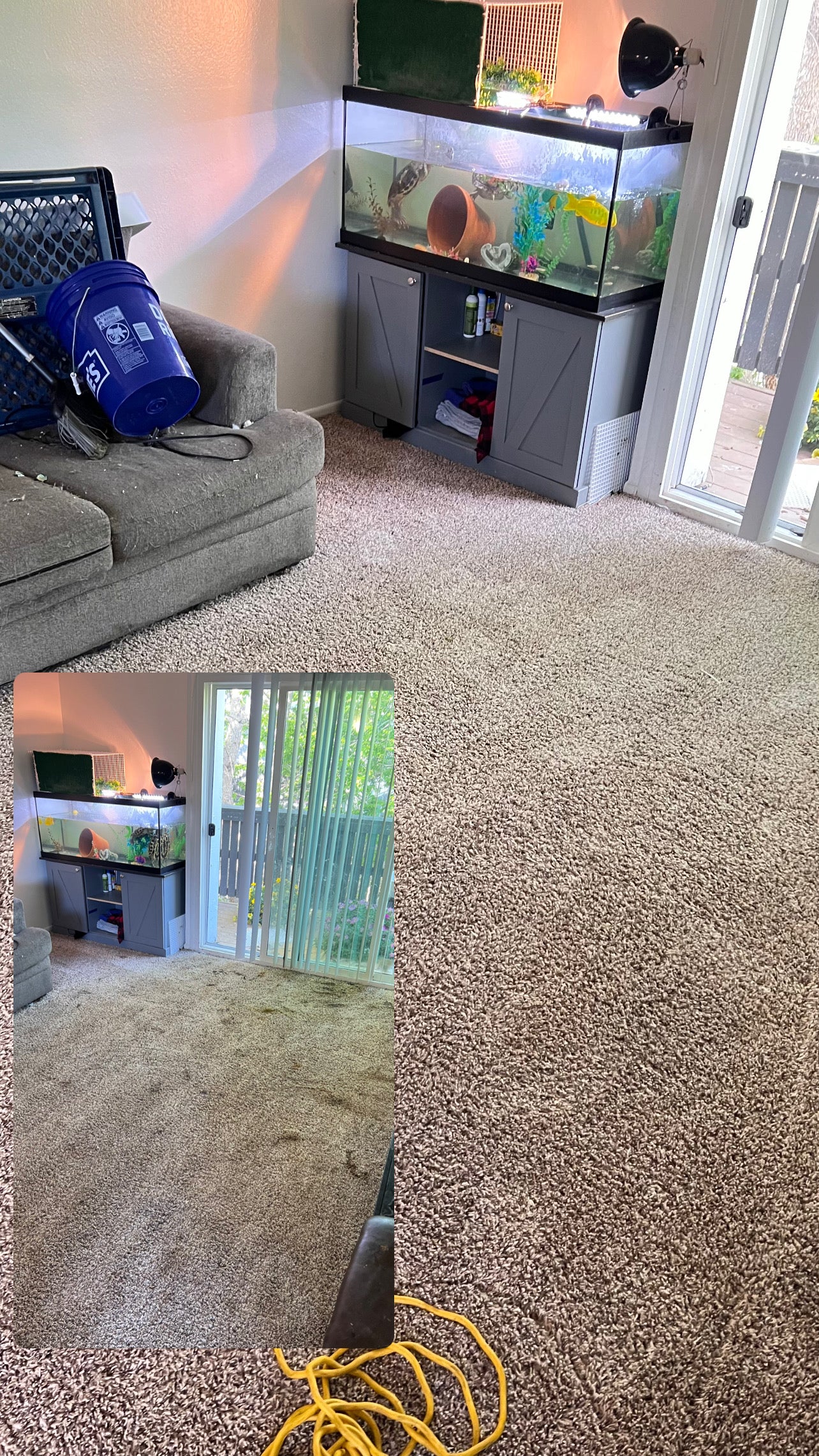 Carpet Cleaning >