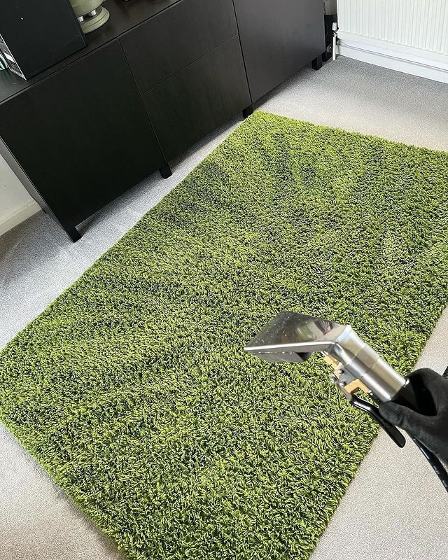 Carpet Cleaning >