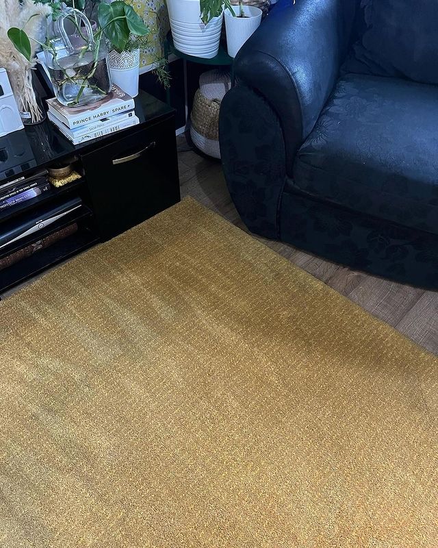 Carpet Cleaning >