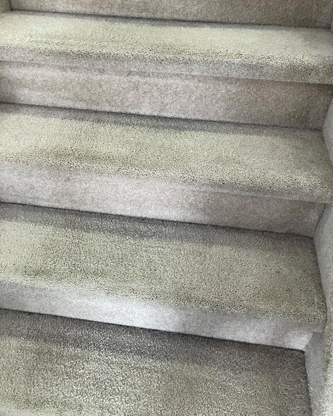 Carpet Cleaning >