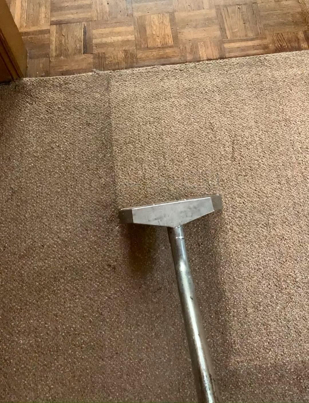 Carpet Cleaning >