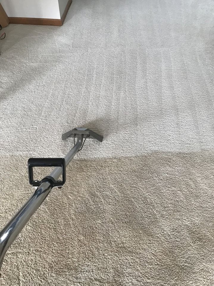 Carpet Cleaning >
