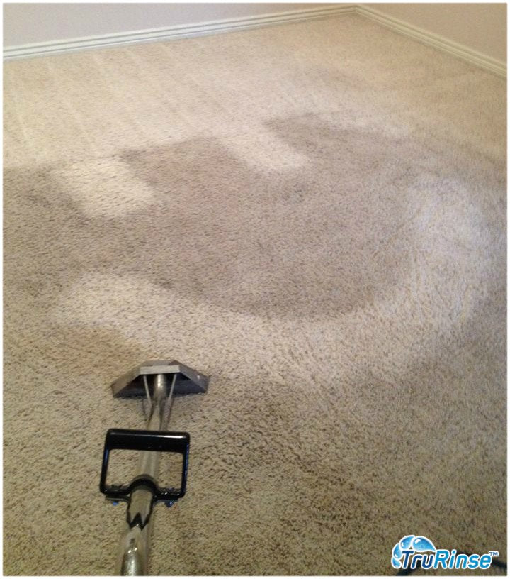 Carpet Cleaning >